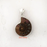 Ammonite Sterling Silver Pendant